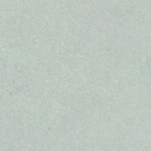 Gris Fosil
