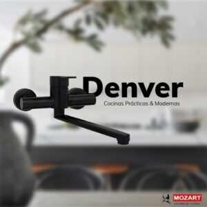 Denver Negro